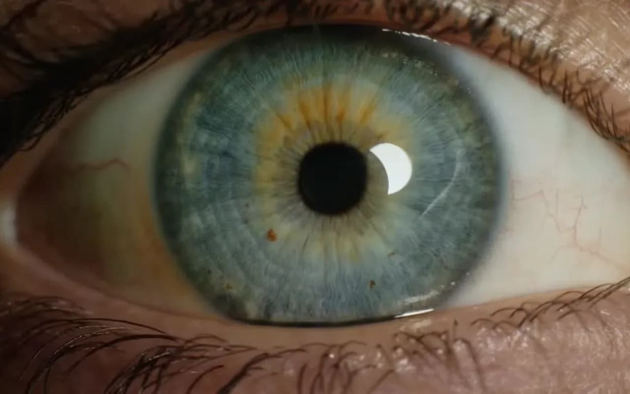 Close-up of a human iris